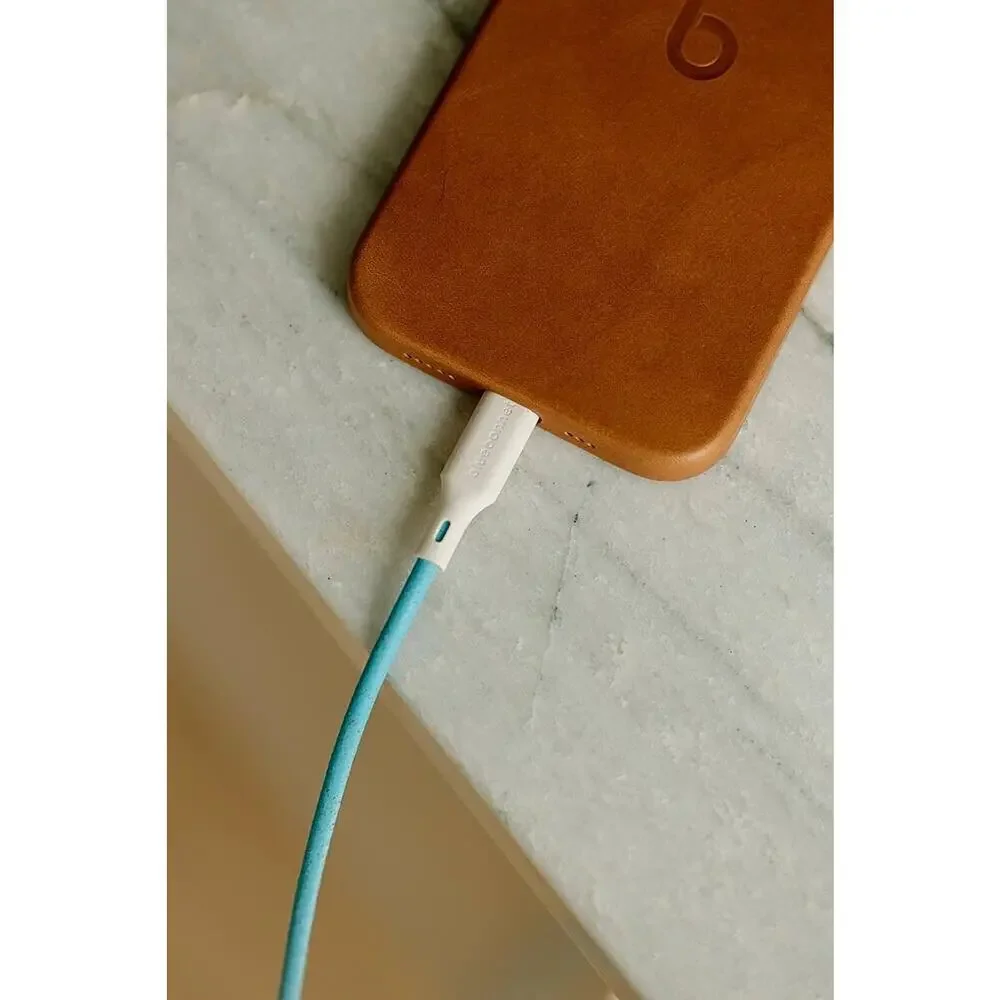 BlueBonnet The Companion USB-C to USB-C 4FT Charging Cable